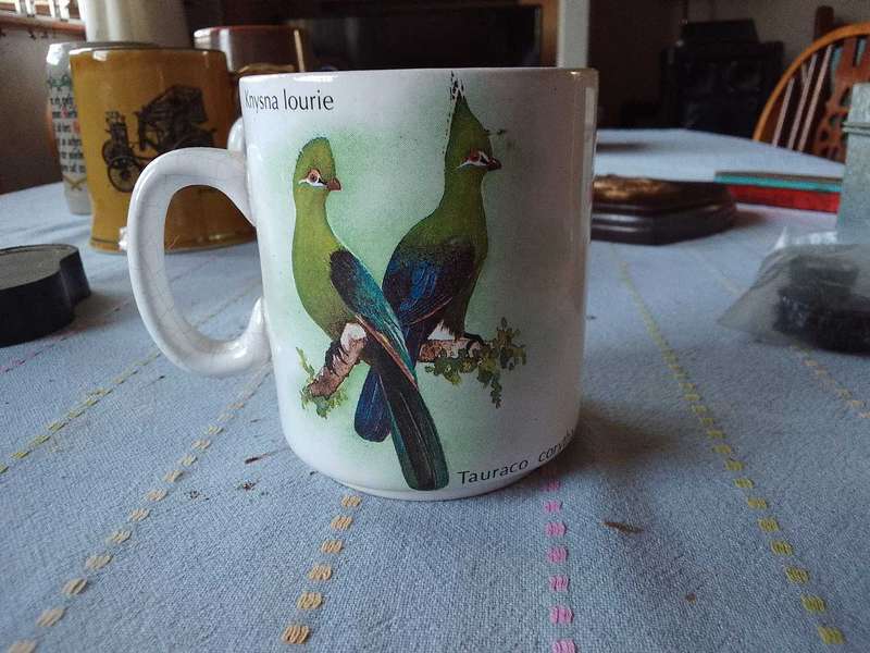 Edu mug Knysna Loerie