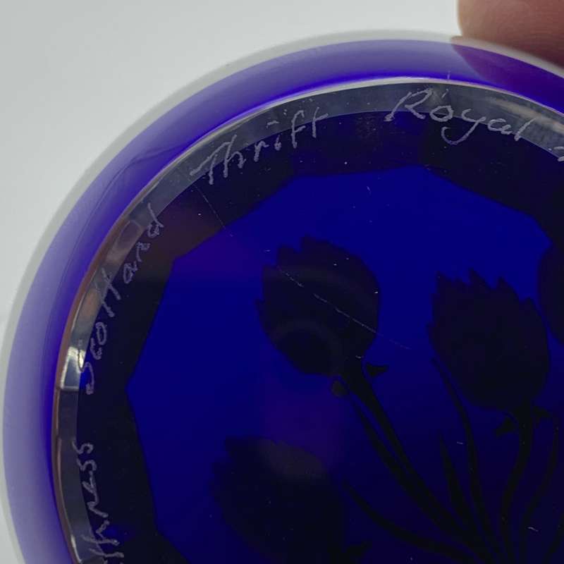 Rare 'Caithness' Glass 'Thrift' Paperweight (Ltd Edition of 250)