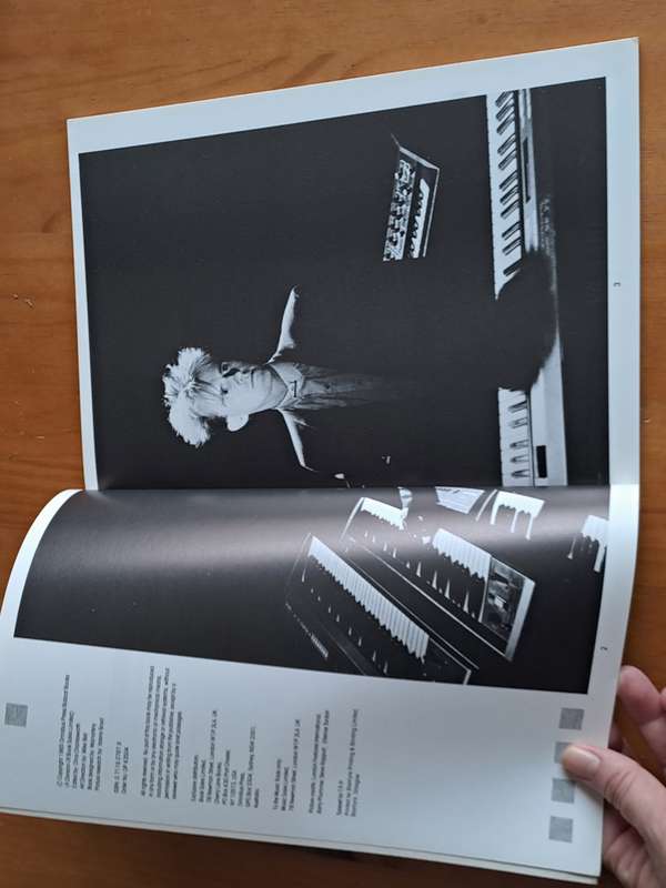 Howard Jones - by Helen Fitzgerald - 1985