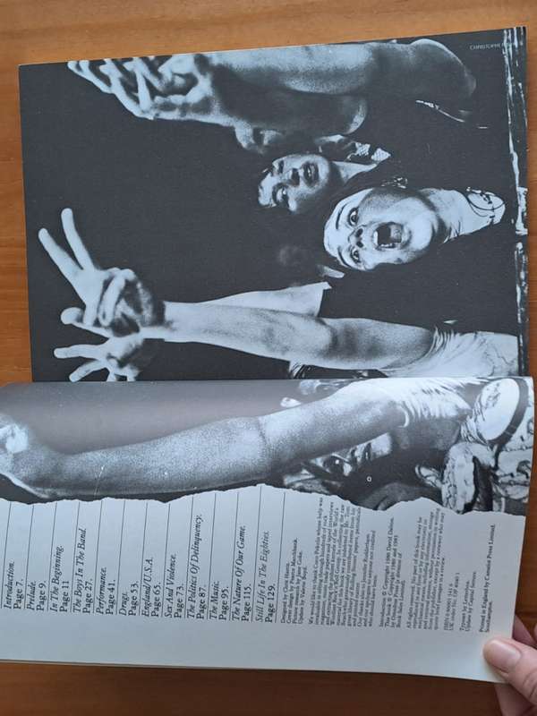 Rolling Stones in their own words  -  Compiled by David Dalton and Mick Farren - 1982