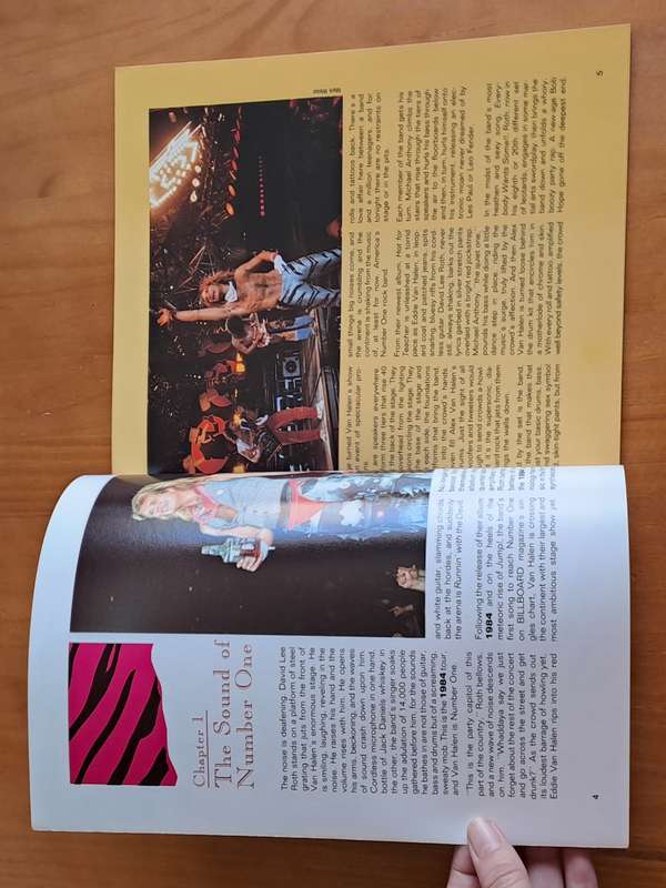 The Mighty Van Halen -  Buzz Morison - 1984