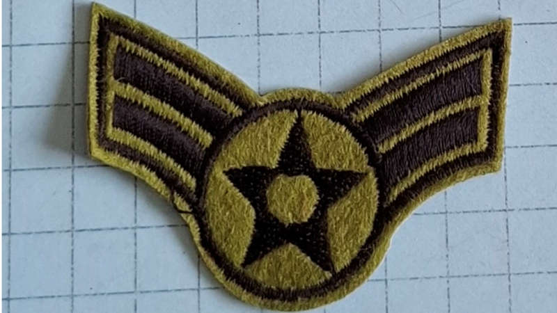 Patch - Wings