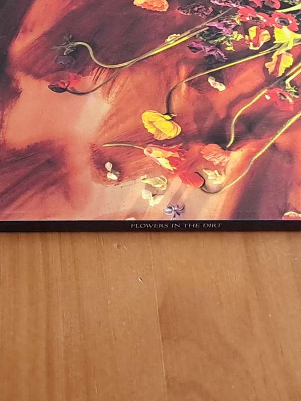 Paul McCartney -  Flowers in the dirt  - 1989