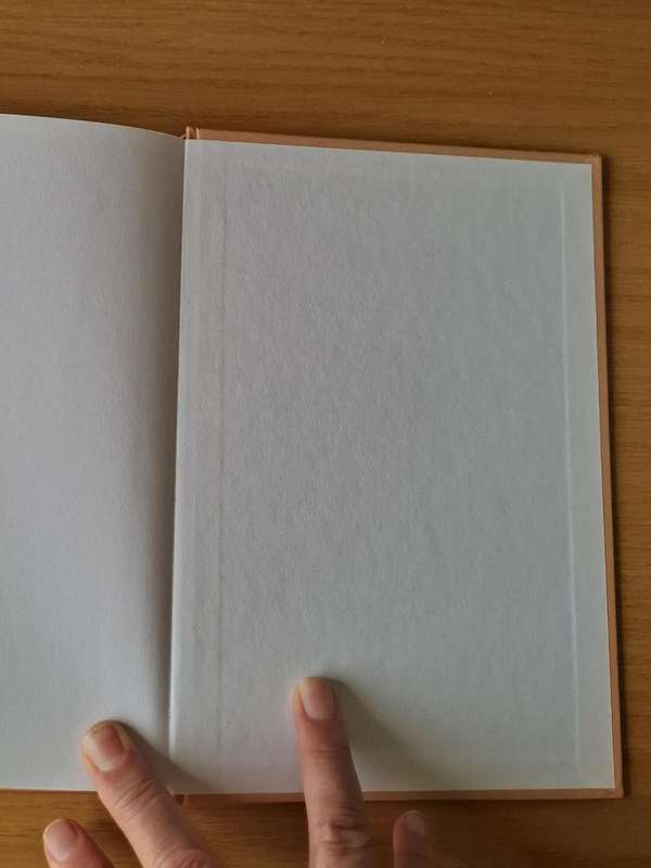 Leopold Scholtz - Waarom die boere die oorlog verloor het -  Hardcover - p260