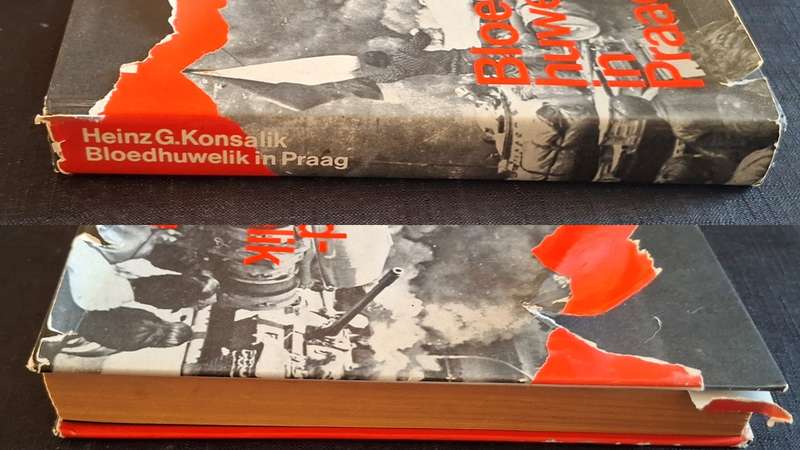Heinz G. Konsalik - Bloedhuwelik in Praag - p.239