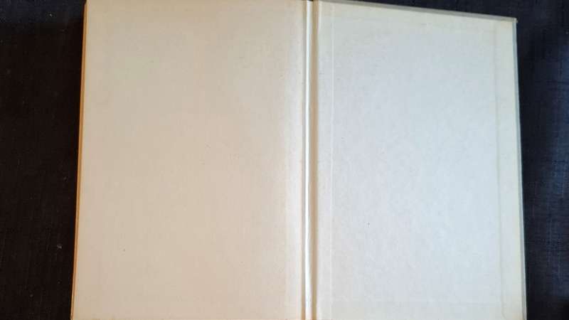 Heinz G. Konsalik - Die valskermbataljon - p.300
