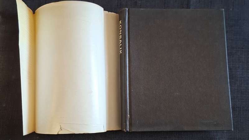 Heinz G. Konsalik - Die laaste gevangene - p.236