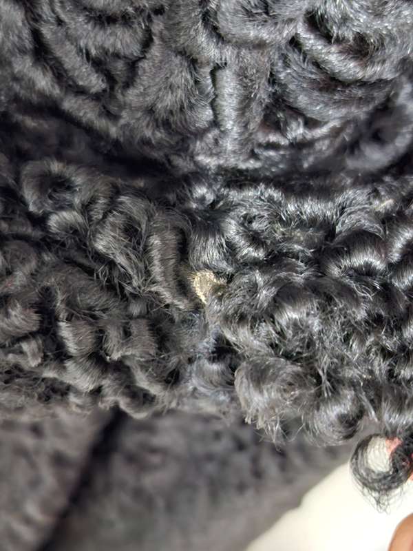 Vintage Black Karakul Pelt Coat with belt - authentic rare find in excellent condition - Size S