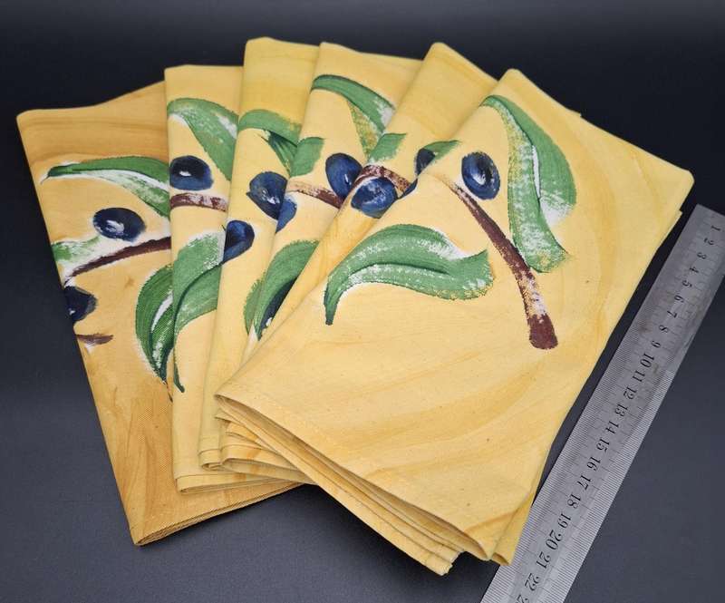 Hand Painted Cotton Napkins x 6 by Carole Nevin - Vibrant Colours