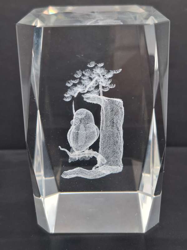 Vintage Laser Etched Glass Cube Paperweight - Owl Hologram Design