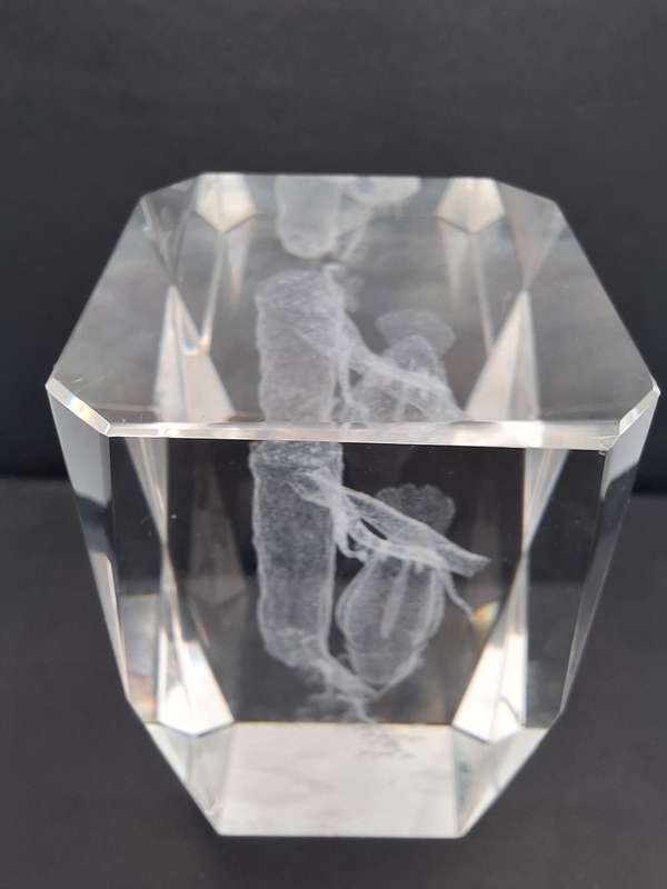 Vintage Laser Etched Glass Cube Paperweight - Owl Hologram Design