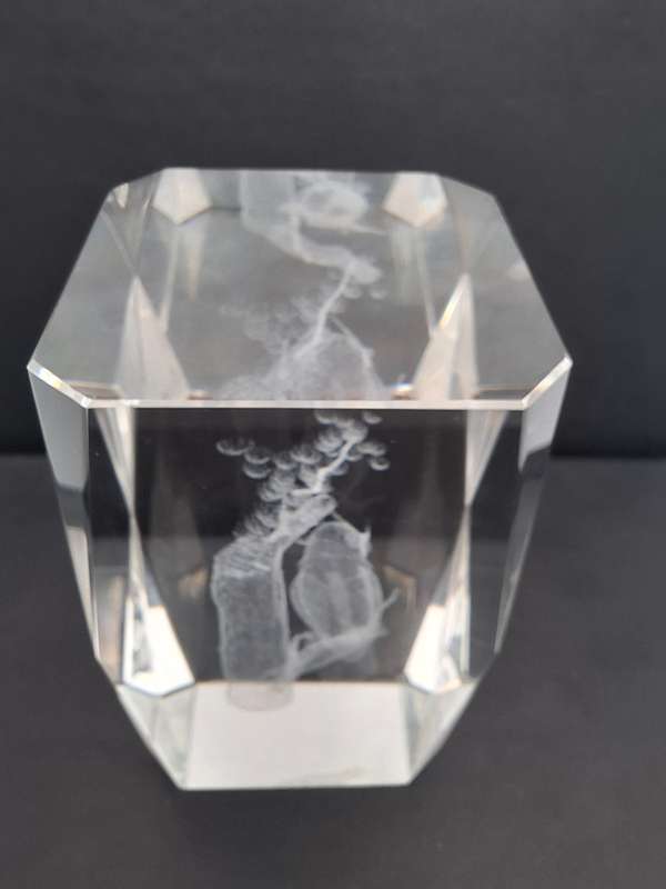 Vintage Laser Etched Glass Cube Paperweight - Owl Hologram Design