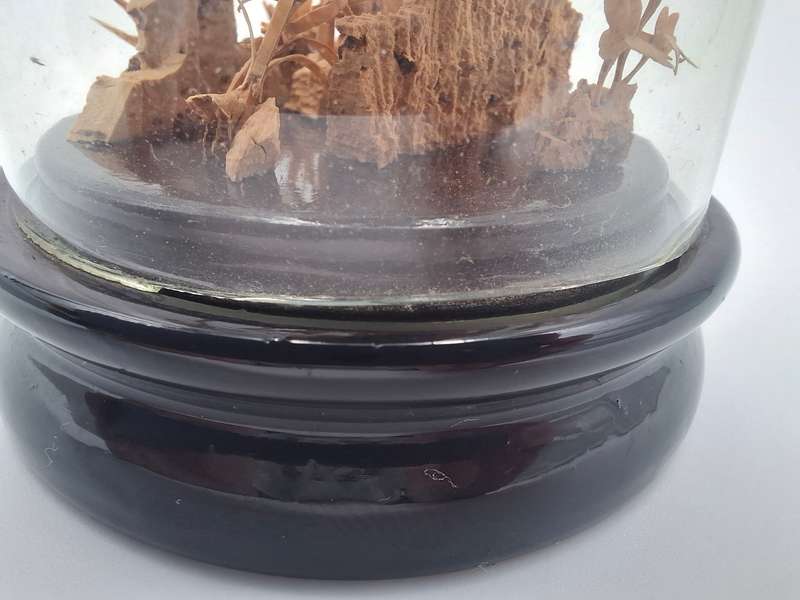 Vintage Chinese Cork Art in Glass Dome
