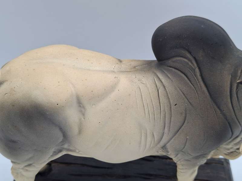 Impressive Brahman Bull Display Figurine