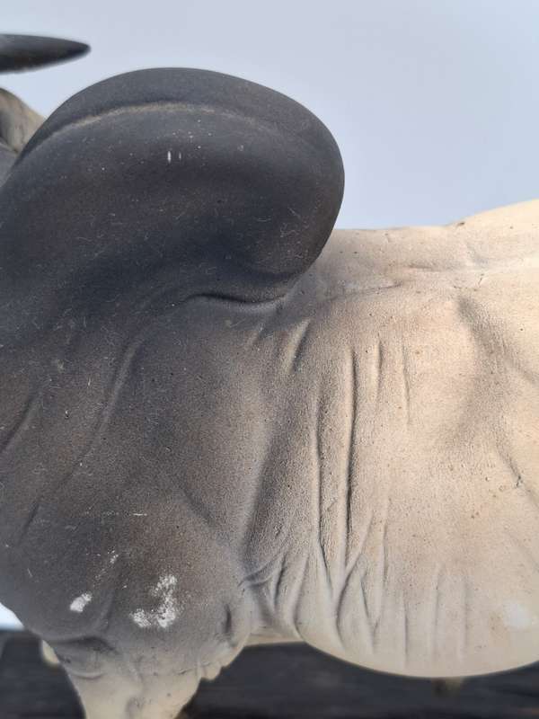 Impressive Brahman Bull Display Figurine