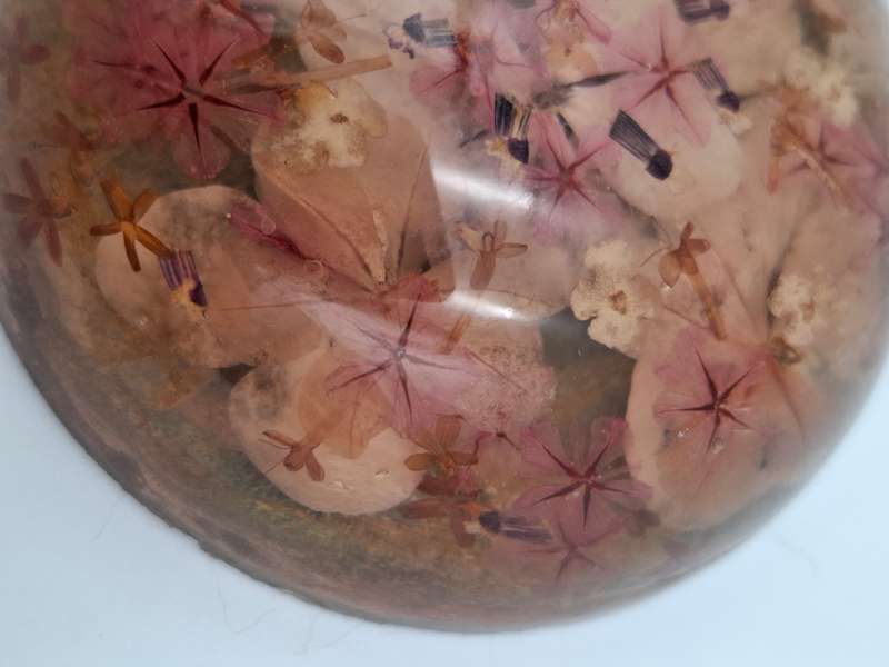 Resin Paperweight with Floating Pink Flower Petals