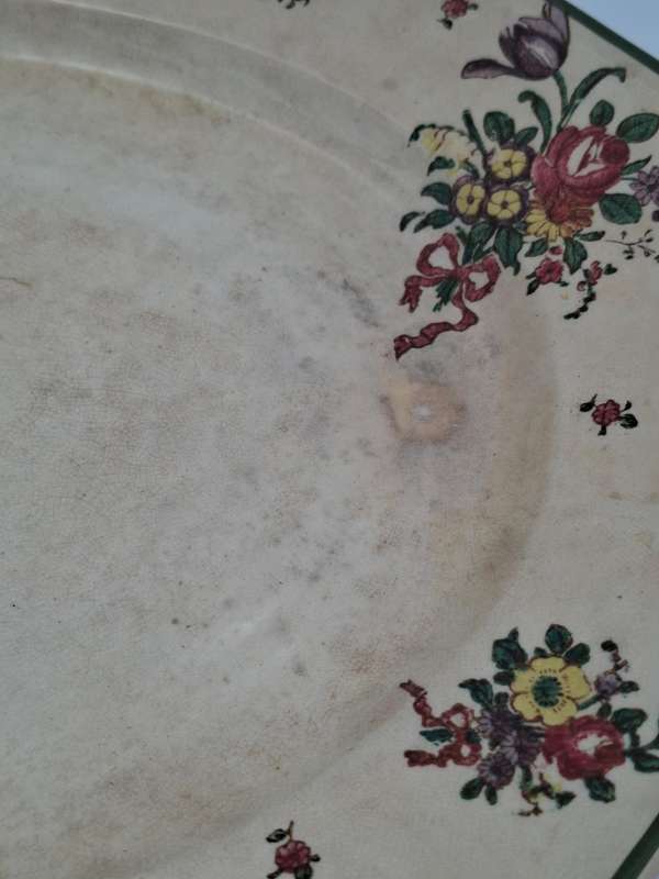 Antique Royal Doulton Meat Platter - Large with Botanical edge design - 46cm L x 37.5cm W