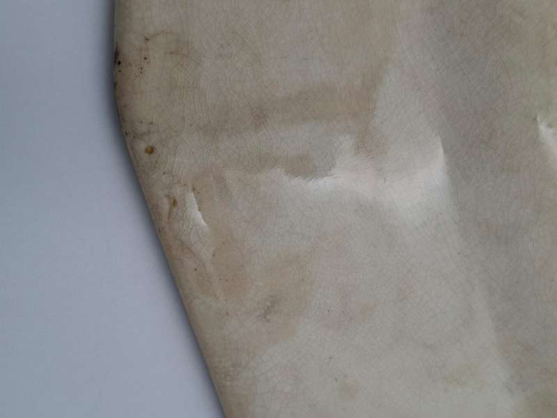 Antique Royal Doulton Meat Platter - Large with Botanical edge design - 46cm L x 37.5cm W