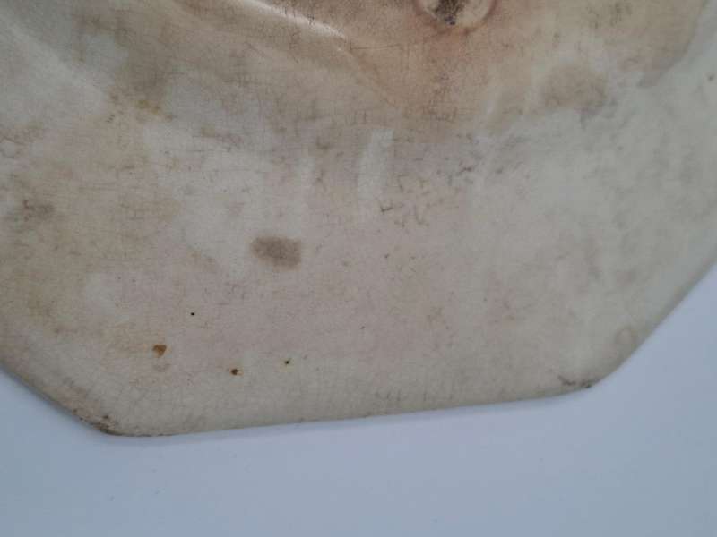 Antique Royal Doulton Meat Platter - Large with Botanical edge design - 46cm L x 37.5cm W