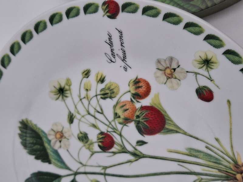 Porcelaib Cake Plate and Server - Boxed Pierre Antoine Poiteau Collection - Botanist Range