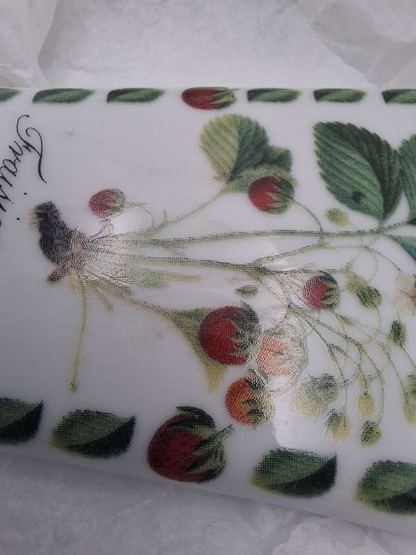 Porcelaib Cake Plate and Server - Boxed Pierre Antoine Poiteau Collection - Botanist Range