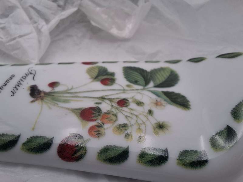 Porcelaib Cake Plate and Server - Boxed Pierre Antoine Poiteau Collection - Botanist Range