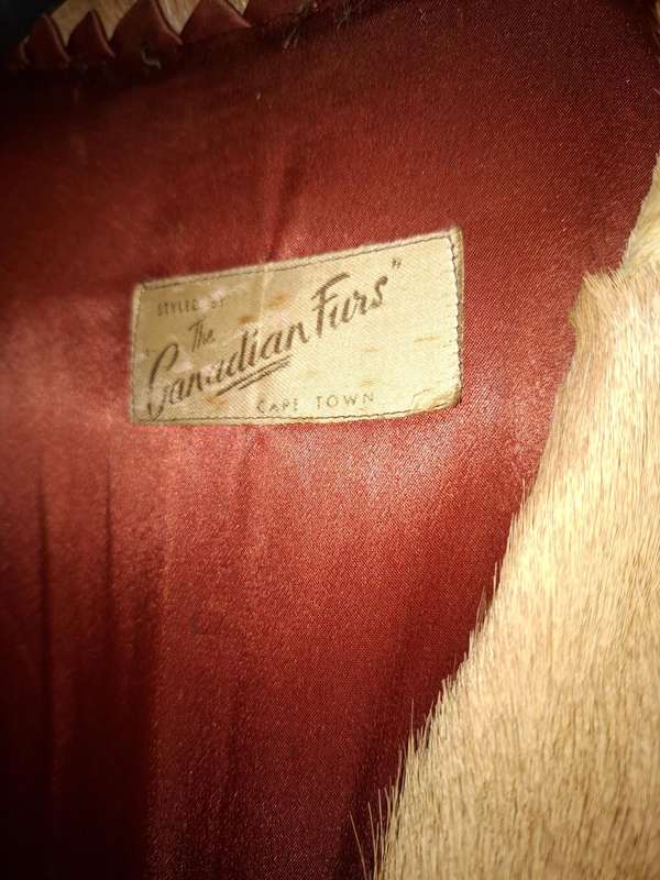 Vintage Springbok Hide Jacket with Leather Buttons - Versatile as Film Prop or Decor Item