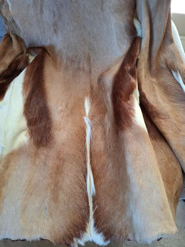 Vintage Springbok Hide Jacket with Leather Buttons - Versatile as Film Prop or Decor Item