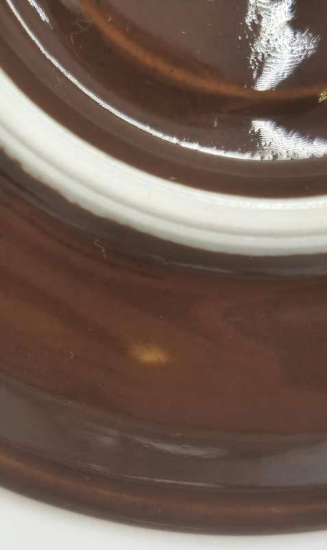 Vintage Pair of Brown Gold Rimmed ACF Espresso Cup and Saucer - Made In Italy