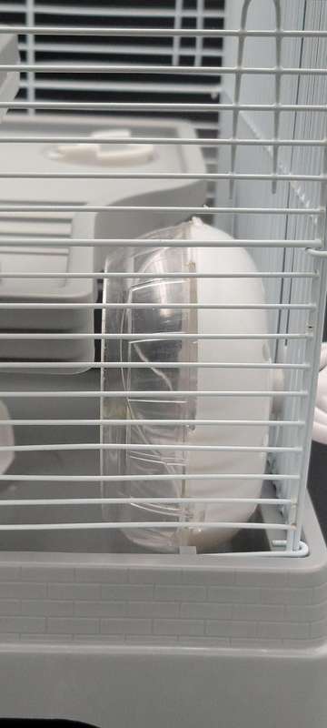 Double Storey Hamster Cage - Flamingo Dinky - 30cm L x 23cm H x 26cm H