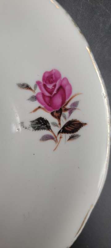 Vintage Cup & Saucer with a Rose Floral Design and Gold Trim