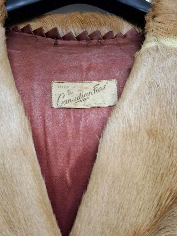 Vintage Springbok Hide Jacket with Leather Buttons - Versatile as Film Prop or Decor Item