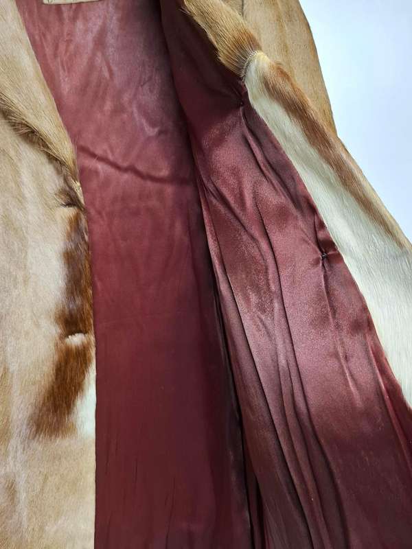 Vintage Springbok Hide Jacket with Leather Buttons - Versatile as Film Prop or Decor Item