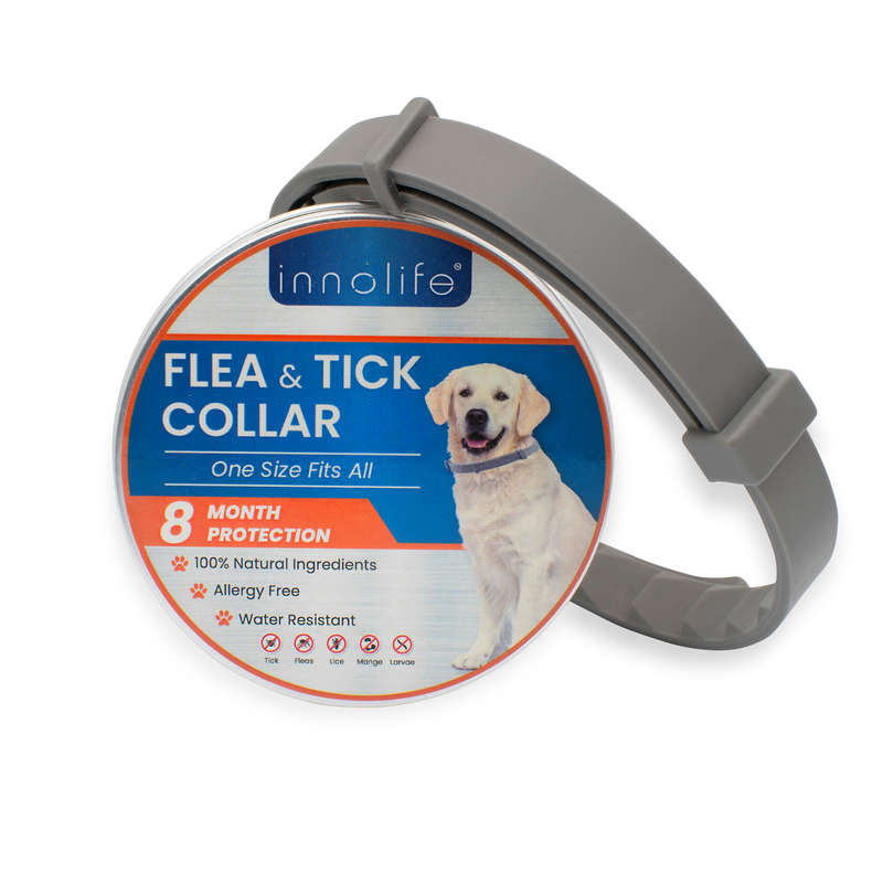 Dog Flea and Tick Collar - Adjustable Flea Collar for Dogs - Tick Collar