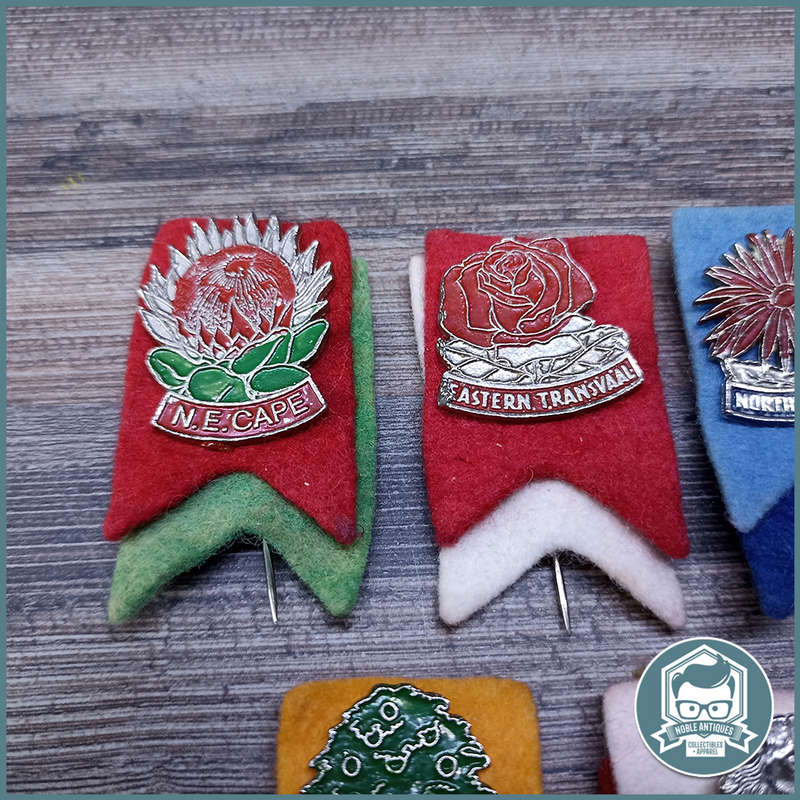 RARE !! A COLLECTION OF VINTAGE SOUTH AFRICAN PROVINCIAL RUGBY TOUR PINS !!!