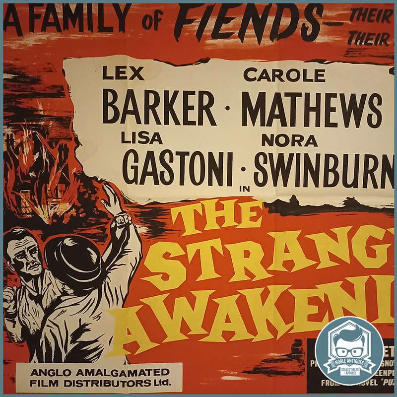 LARGE Vintage 1958 A1 Lithographed Movie Poster : The Strange Awakening!!!