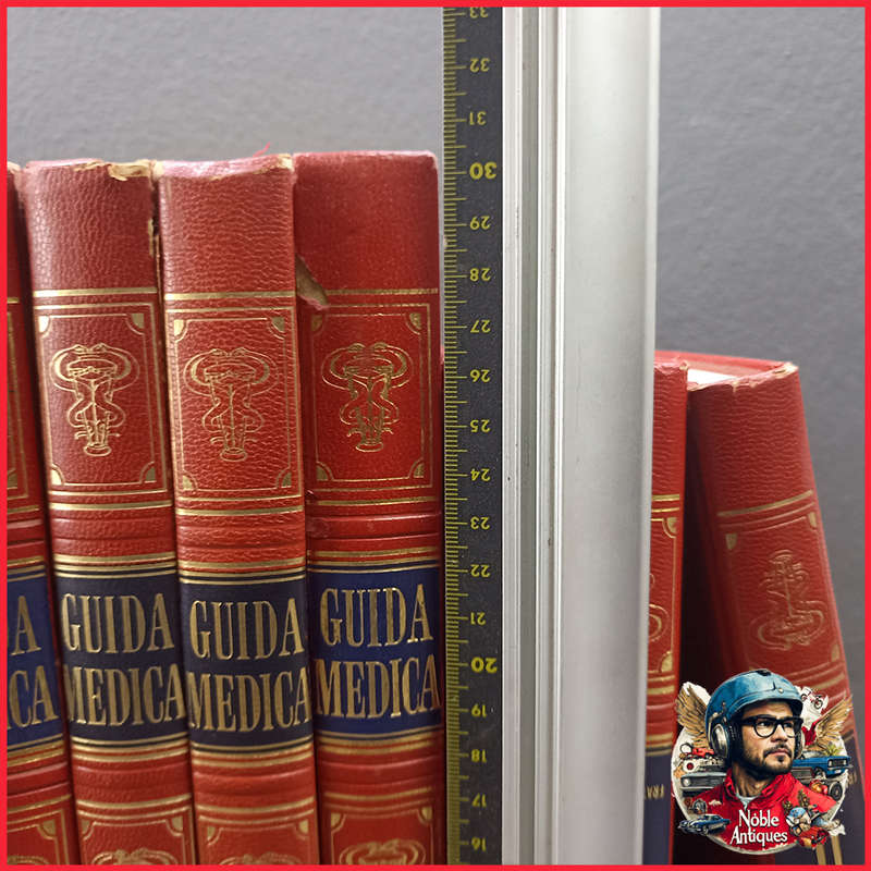 Vintage Foiled and Amazing Illustrated Italian Medical Encyclopedia Collection