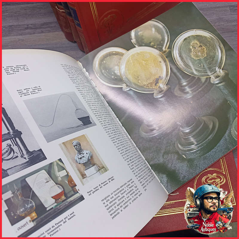 Vintage Foiled and Amazing Illustrated Italian Medical Encyclopedia Collection