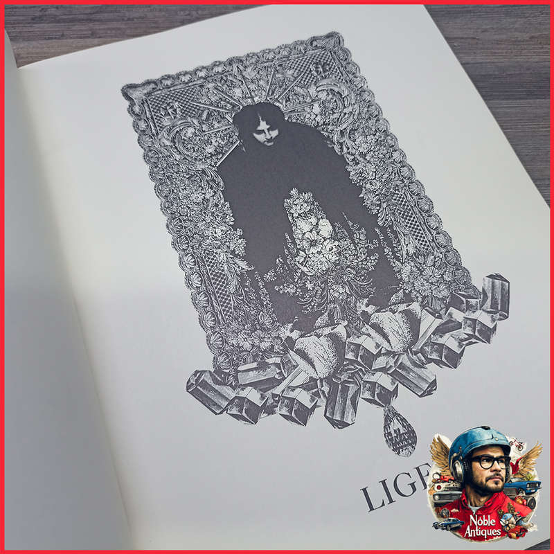The Illustrated Edgar Allan Poe by Wilfried Satty