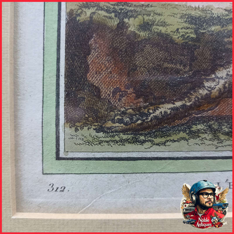 Framed Antique Colored Etch L'elephan Cemelle