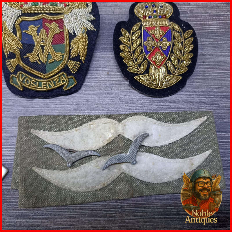 Military Badge Collection