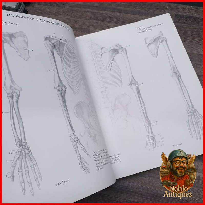 Large Hardcover HUMAN ANATOMY FOR ARTISTS