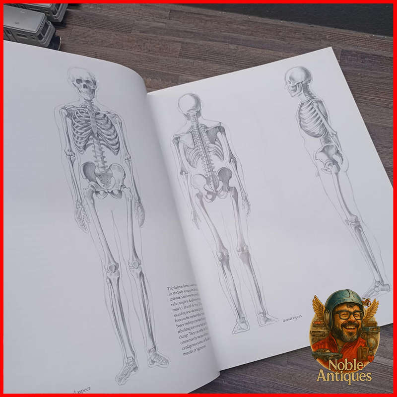 Large Hardcover HUMAN ANATOMY FOR ARTISTS