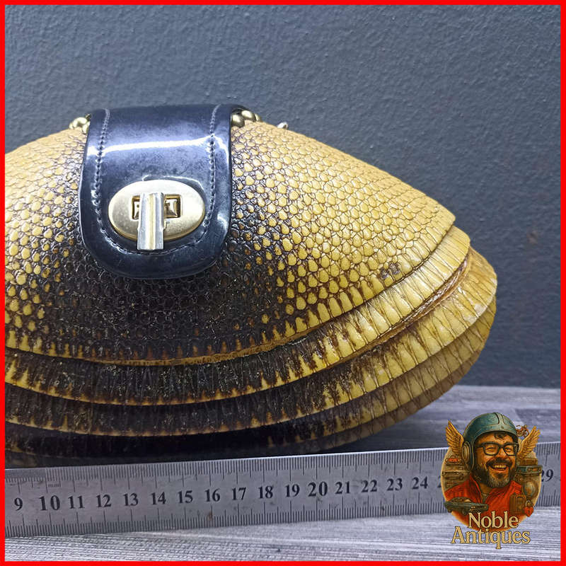 1940s taxidermy armadillo purse