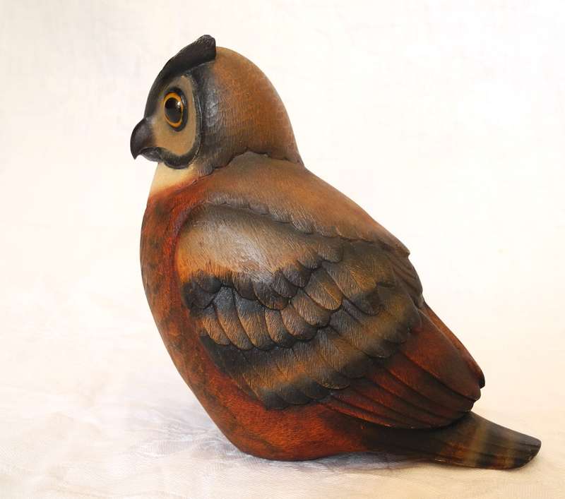 Feather of Knysna - Cape Eagle Owl