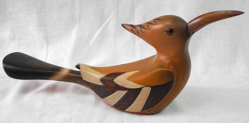 Feather of Knysna - African Hoopoe