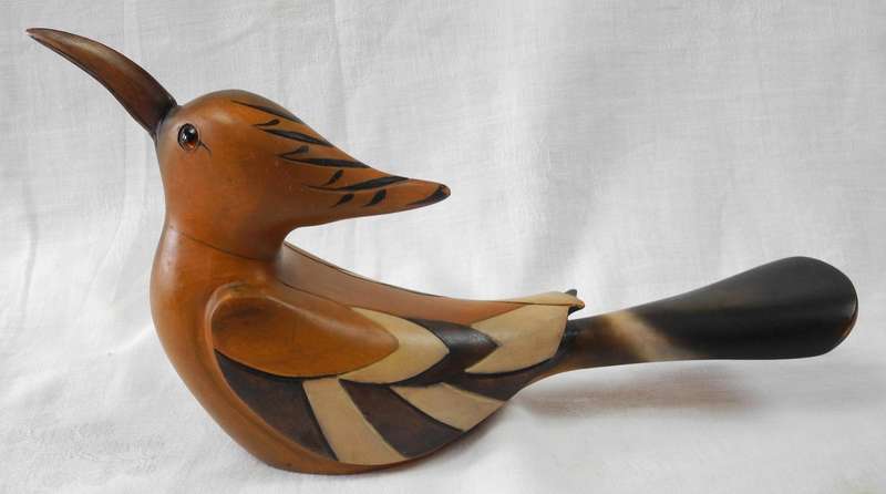 Feather of Knysna - African Hoopoe