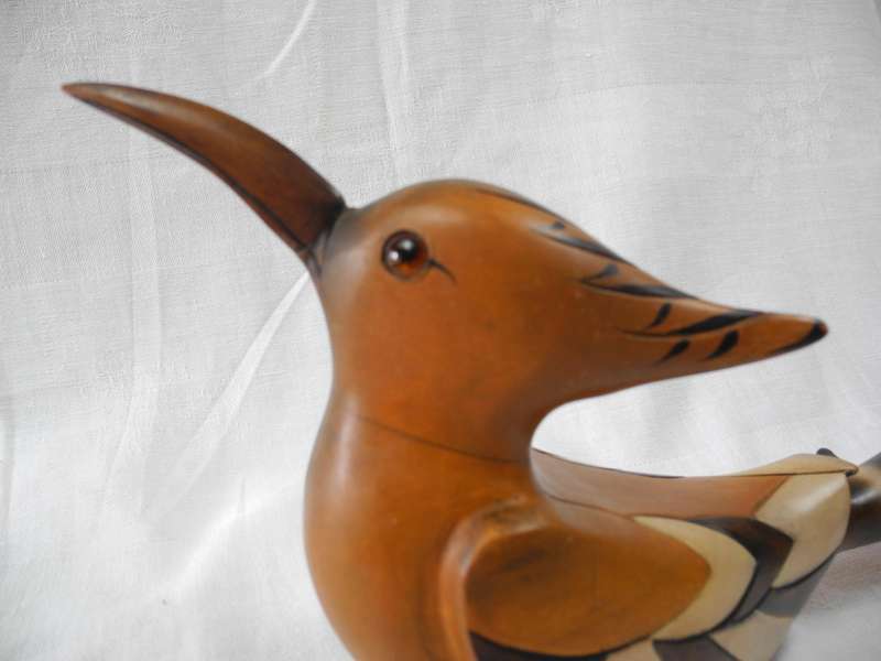 Feather of Knysna - African Hoopoe