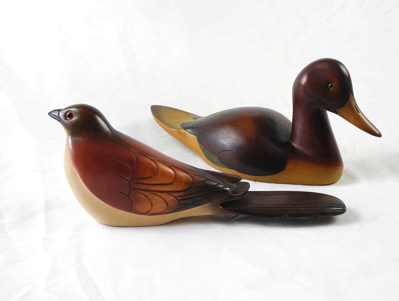 Feathers of Knysna Duck and a Burchell's Coucal
