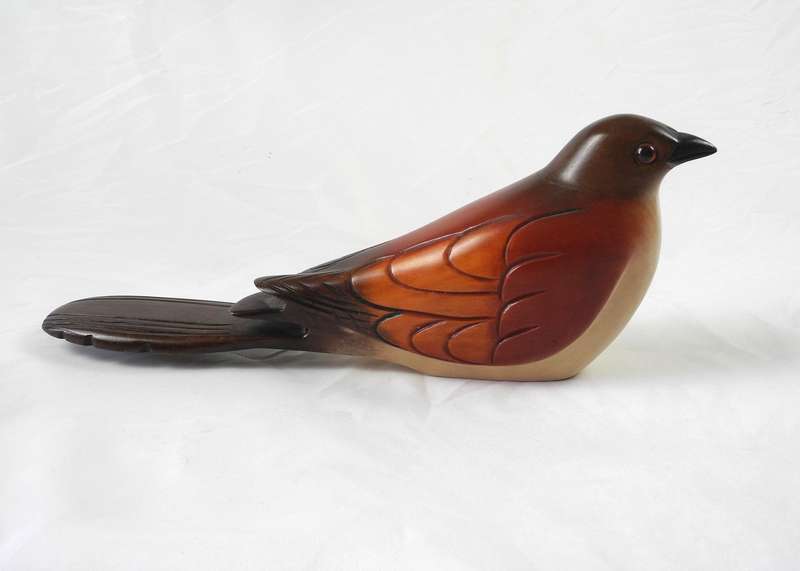 Feathers of Knysna Duck and a Burchell's Coucal